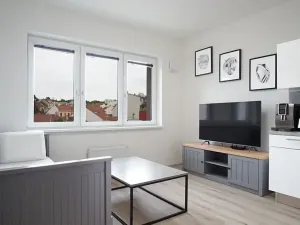 Pronájem bytu 1+kk, Brno, Gajdošova, 33 m2