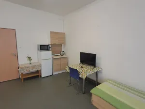 Pronájem bytu 1+kk, Hranice - Hranice I-Město, Potštátská, 30 m2