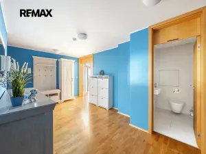 Pronájem bytu 5+kk, Praha - Žižkov, Pitterova, 254 m2