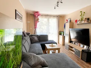 Prodej bytu 5+1, Vamberk, Struha, 87 m2