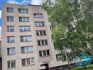 Pronájem bytu 1+1, Ostrava, Přemyslovců, 32 m2