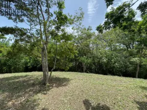 Prodej pozemku, Coxen Hole, Roatán, Honduras, 1884 m2