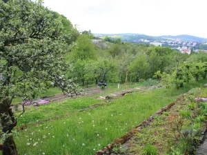 Prodej chaty, Zlín, Hradská, 23 m2