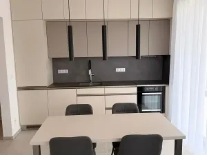Pronájem bytu 2+kk, Hajany, 50 m2