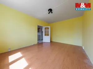 Prodej bytu 1+1, Horní Slavkov, Dlouhá, 35 m2