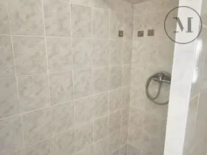 Pronájem bytu 1+kk, České Budějovice, Jírovcova, 28 m2