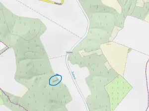 Prodej lesa, Silůvky, 521 m2