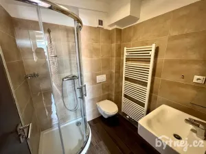 Pronájem bytu 2+kk, Brno - Veveří, Veveří, 65 m2