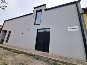 Prodej rodinného domu, Benátky nad Jizerou, Pod Remízkem, 250 m2