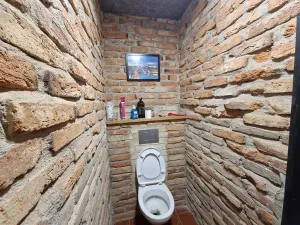 Prodej rodinného domu, Benátky nad Jizerou, Pod Remízkem, 250 m2