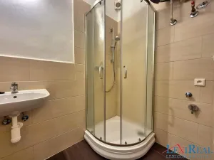 Pronájem bytu 1+1, Praha - Podolí, Podolská, 36 m2