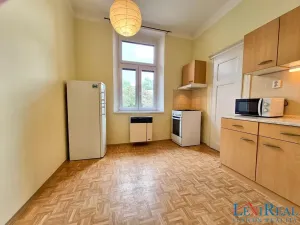 Pronájem bytu 1+1, Praha - Podolí, Podolská, 36 m2