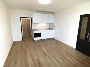 Prodej bytu 2+kk, Praha - Lhotka, Jílovská, 40 m2