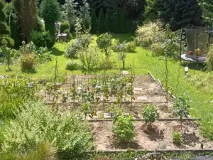 Prodej zahrady, Havířov, Mezidolí, 258 m2
