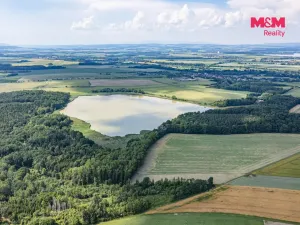 Prodej lesa, Bohuslavice, 11971 m2