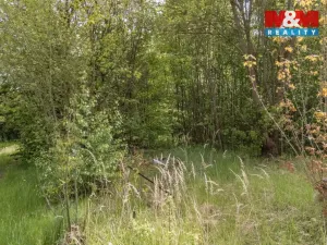 Prodej pozemku pro bydlení, Bor - Vysočany, 1458 m2