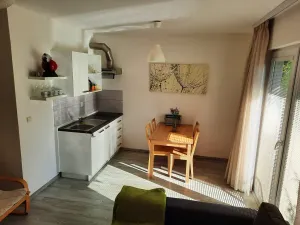 Pronájem bytu 1+kk, Liberec - Liberec VI-Rochlice, Hedvábná, 46 m2