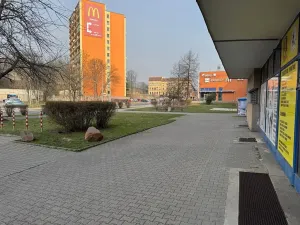 Prodej bytu 3+1, Teplice, Alejní, 73 m2