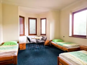 Prodej ubytování, Třinec, Husova, 360 m2