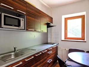 Prodej ubytování, Třinec, Husova, 360 m2
