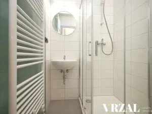 Pronájem bytu 2+kk, Plzeň, Francouzská třída, 33 m2