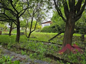 Prodej chaty, Praha - Dejvice, Na Pučálce, 21 m2