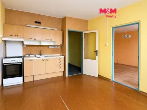 Prodej bytu 1+1, Litvínov - Horní Litvínov, Čapkova, 36 m2
