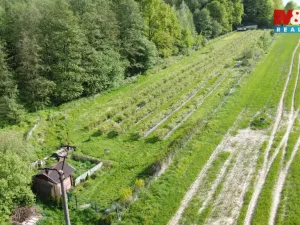 Prodej pole, Petrovice u Karviné, 6810 m2