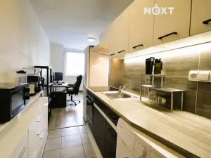 Prodej bytu 1+kk, Veselí nad Moravou, Chaloupky, 29 m2