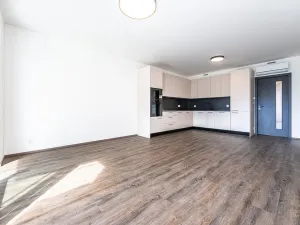 Pronájem bytu 3+kk, Praha - Žižkov, Malešická, 78 m2