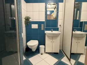 Pronájem bytu 1+1, Opočno, Krátká, 32 m2