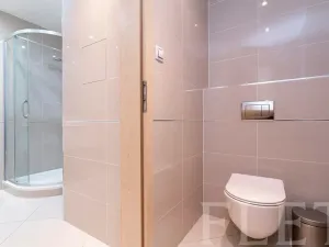 Pronájem bytu 1+kk, Praha - Žižkov, Olšanská, 43 m2