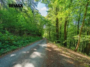 Prodej chaty, Smědčice, 55 m2