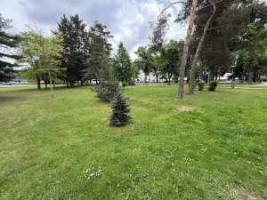 Prodej bytu 3+1, Hradec Králové, třída SNP, 70 m2