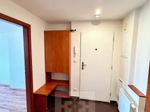 Pronájem bytu 3+kk, Praha - Žižkov, Biskupcova, 96 m2