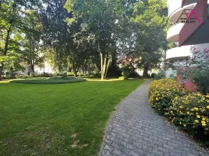 Pronájem bytu 4+kk, Ostrava, Sadová, 122 m2