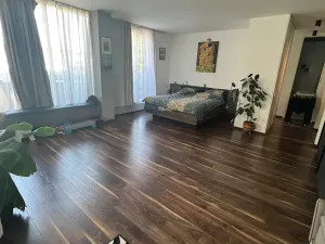 Pronájem bytu 4+kk, Ostrava, Sadová, 122 m2