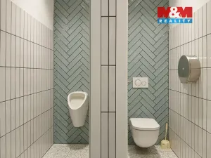 Prodej obchodního prostoru, Opava - Město, Masarykova třída, 60 m2