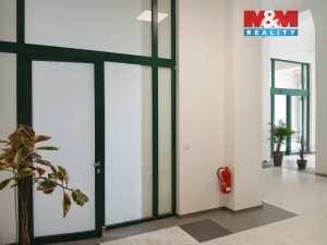 Prodej obchodního prostoru, Opava - Město, Masarykova třída, 50 m2