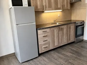 Pronájem bytu 1+kk, Praha - Košíře, Vrchlického, 27 m2