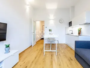 Pronájem bytu 1+kk, Praha - Veleslavín, Na dračkách, 29 m2