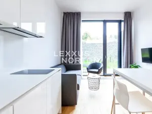 Pronájem bytu 1+kk, Praha - Veleslavín, Na dračkách, 29 m2