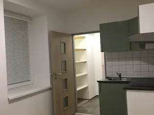 Pronájem bytu 1+kk, Brno, Křenová, 20 m2