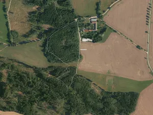 Prodej lesa, Studená, 49450 m2