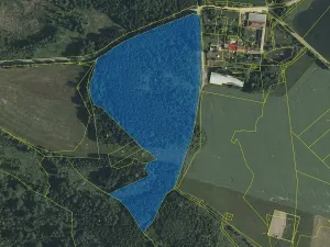 Prodej lesa, Studená, 49450 m2