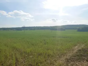 Prodej pozemku pro bydlení, Rokycany, Tymákovská, 75649 m2