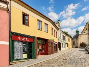 Prodej obchodního prostoru, Třebíč, Hasskova, 258 m2