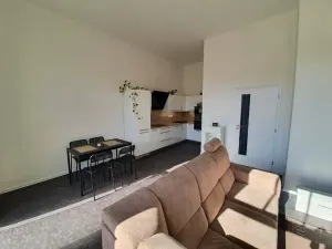 Pronájem bytu 1+kk, Jihlava, Křižíkova, 53 m2