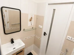 Pronájem bytu 1+kk, Ostrava, Hornopolní, 32 m2