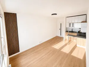Pronájem bytu 1+kk, Ostrava, Hornopolní, 32 m2